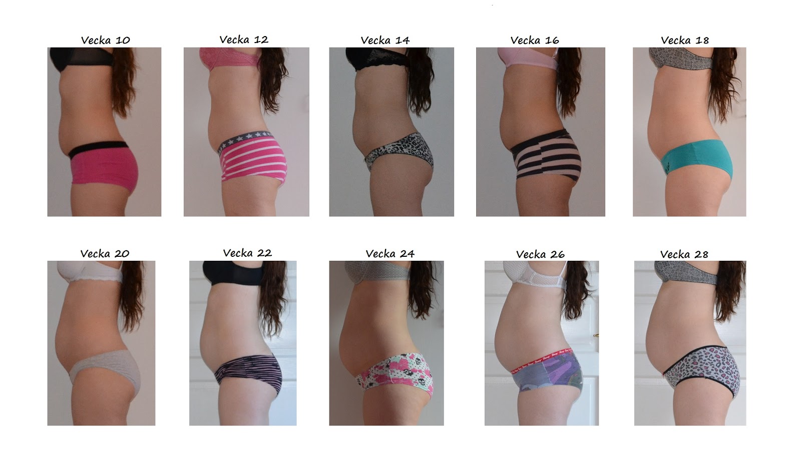 gravid 5 4 netdate gravid 5 4 netdate